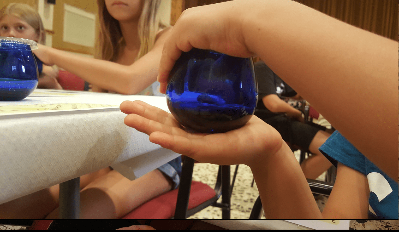 Cata De Aceite De Oliva Virgen Extra “La Collita” Para Niños – Infantil