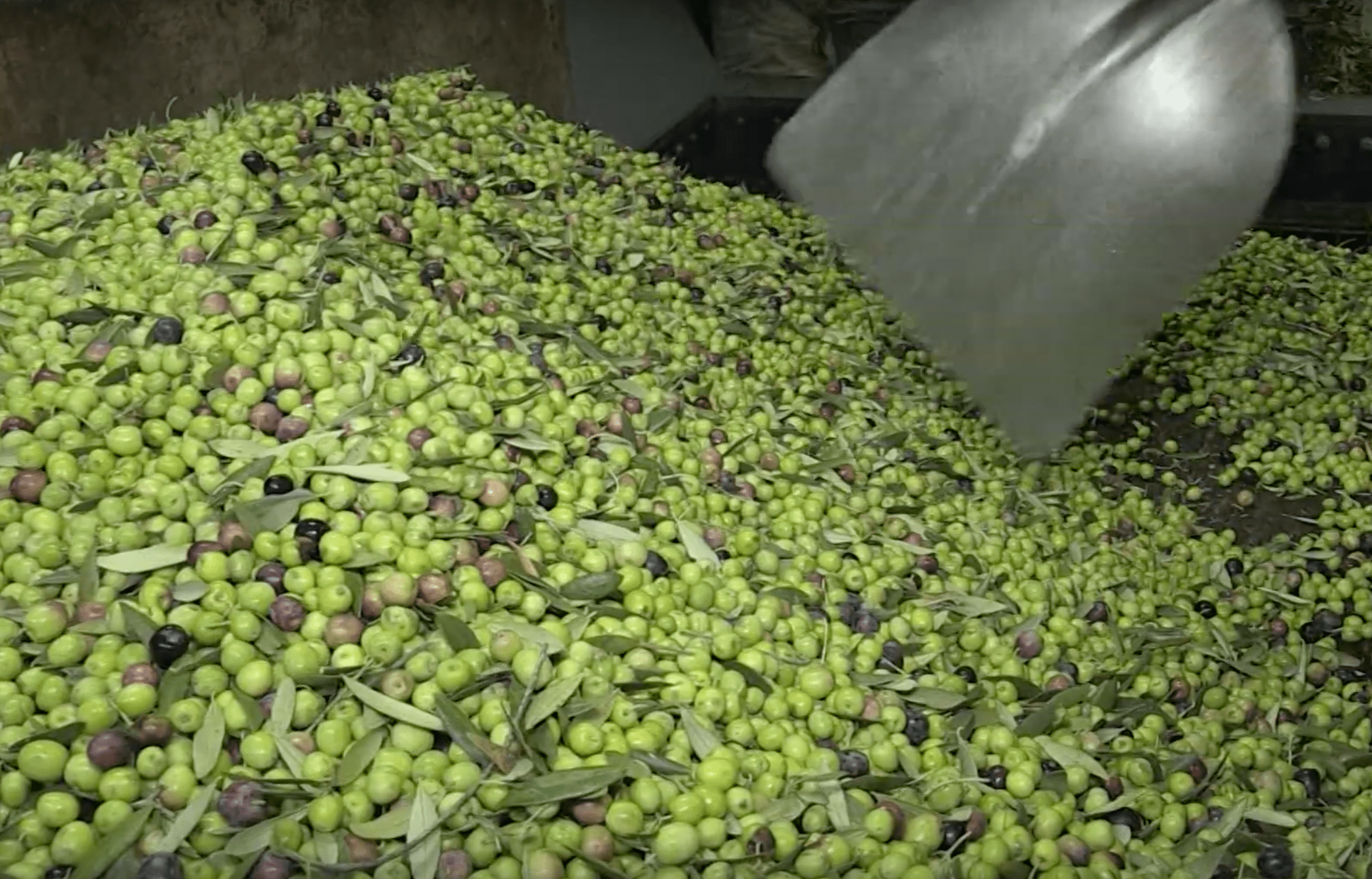 Nuestro Molino Trabajando Los 24h