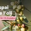 Mercat De Mercats Espai De L´oli