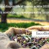 Ya Está Disponible El Nuevo Aceite 2025 -2026!