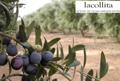 Sensaciones Del Mediterráneo